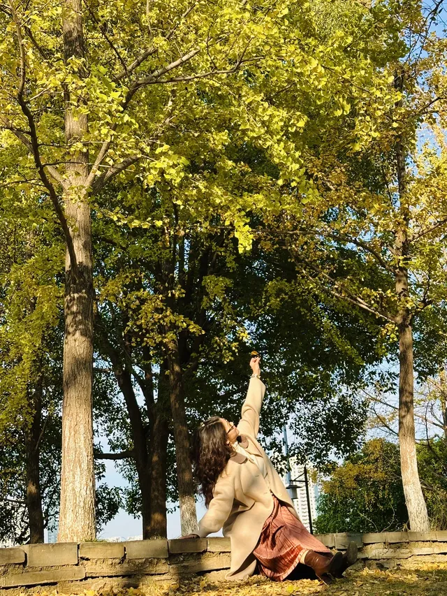 11.20實拍，武漢市中心看銀杏就這裡人最少