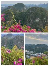 在柳州,我將一天過成了從山巔到燈海的慢鏡頭。 爬上山頭時,滿城的青綠山包像裹著絨毯,粉紫色的三角