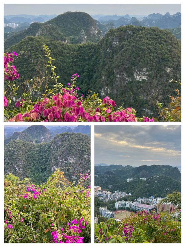 在柳州,我將一天過成了從山巔到燈海的慢鏡頭。 爬上山頭時,滿城的青綠山包像裹著絨毯,粉紫色的三角 在柳州,我將一天過成了從山巔到燈海的慢鏡頭。 爬上山頭時,滿城的青綠山包像裹著絨毯,粉紫色的三角