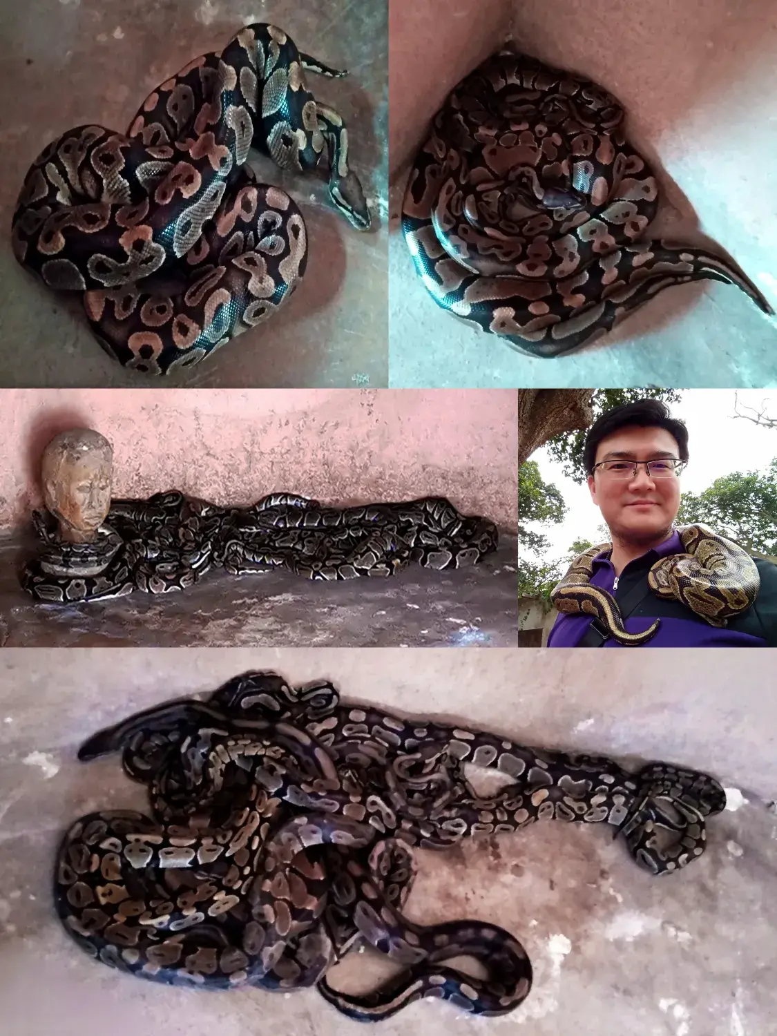 เมืองโบราณวีดา เบนิน | ประวัติศาสตร์การค้าทาสและวัฒนธรรมวูดู