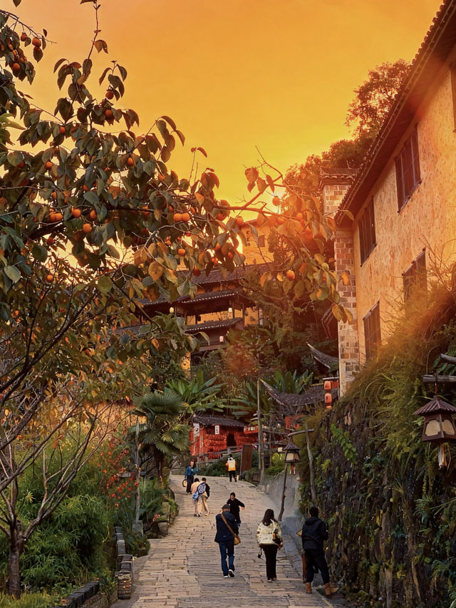 11月望仙谷剛回附淡季遊玩NPC互動攻略 11月望仙谷剛回附淡季遊玩NPC互動攻略