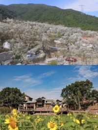 西昌暖冬打卡清單｜高鐵計次票在手，4條路線+住豐巢酒店超省心