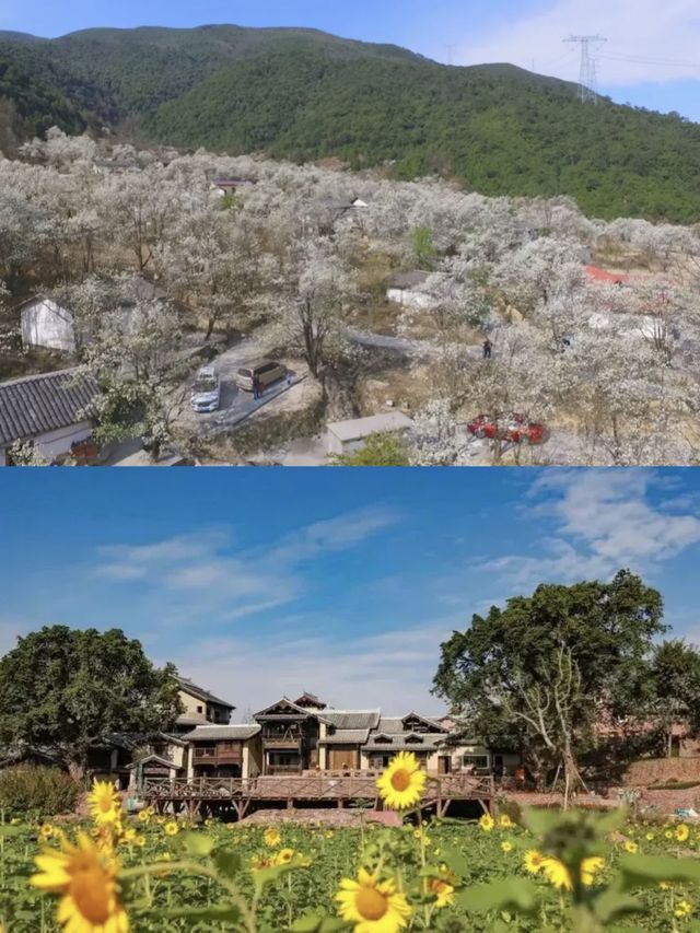 西昌暖冬打卡清單｜高鐵計次票在手，4條路線+住豐巢酒店超省心