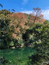 Autumnal Scenery of Fengwei Village