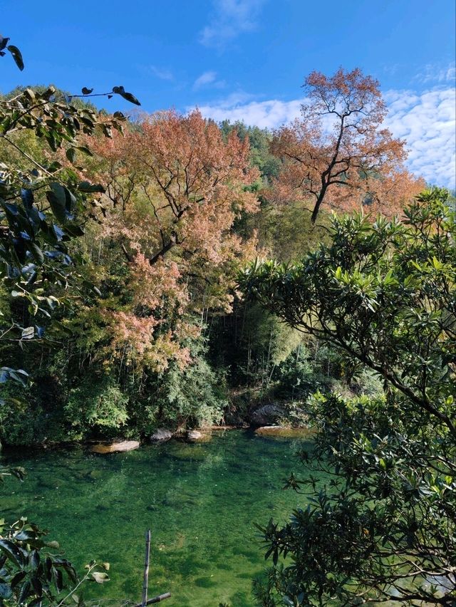 Autumnal Scenery of Fengwei Village