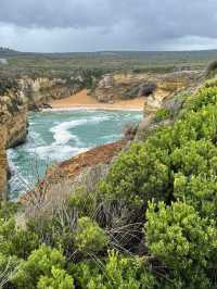 澳大利亞1日包車遊懶人福音速來