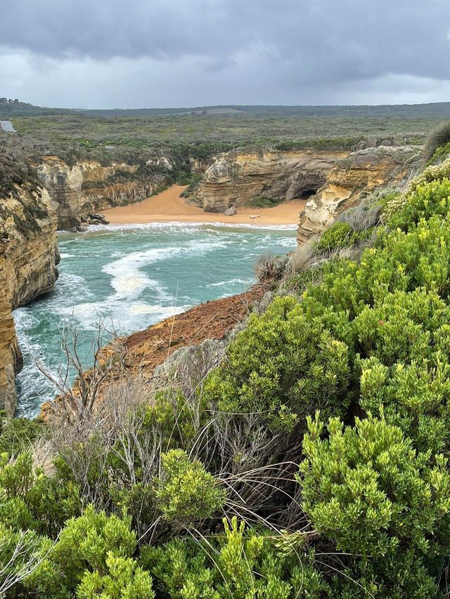 澳大利亞1日包車遊懶人福音速來