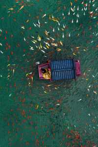 為了拍這組照片我特意去了一趟江西