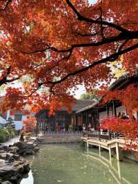 12月初實探｜無錫惠山古鎮，邂逅一場盛大的江南深秋