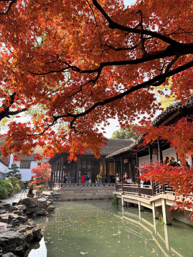 12月初實探｜無錫惠山古鎮，邂逅一場盛大的江南深秋
