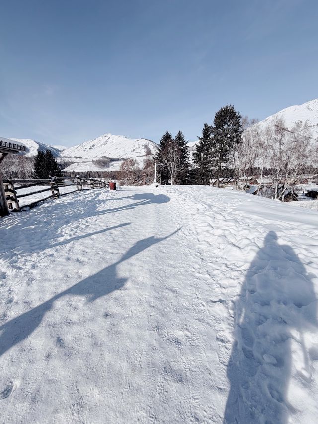 阿勒泰的冬，藏著禾木的藍調浪漫