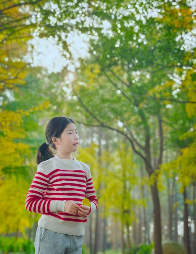 崇明島明珠湖｜秋日私藏的金色童話秘境！