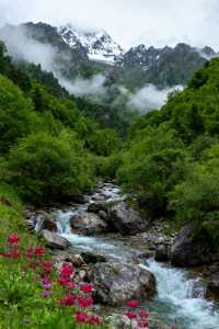 逃離熱浪,奔赴隴南22℃的夏天!在宕昌,邂逅山水、紅城與藥香裡的療癒之旅 當盛夏的熱浪席捲城市,你