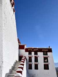 世界屋脊的信仰之巔布達拉宮最全遊玩指南