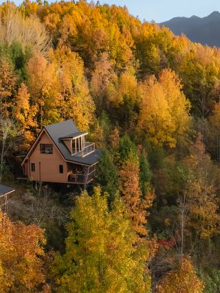 王安宇同款！秦嶺秋日秘境民宿美到失語