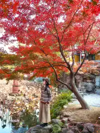 在成都拍到了和蘇州一樣的園林秋景！