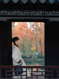 天平山‖我宣布我找的機位拍得最好看~