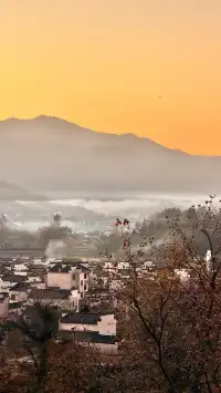 晨霧繚繞的皖南秋色太值得一看了