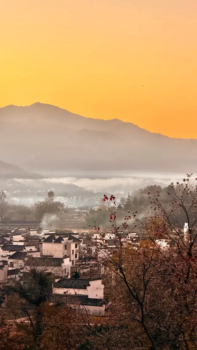 晨霧繚繞的皖南秋色太值得一看了 晨霧繚繞的皖南秋色太值得一看了