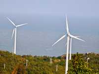 南澳島包車一日遊|被風吹傻但值得