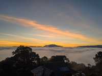 從景邁到西雙版納的姊妹遊