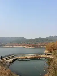 12.1實況live紹興鳳凰山美翻了!!!!!!