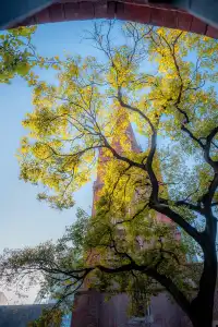 那道光撒向聖三一的銀杏上,也照進我的心裡