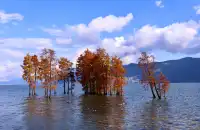 騰衝大理九日遊-洱海海西生態廊道