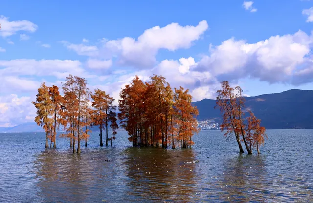 騰衝大理九日遊-洱海海西生態廊道 騰衝大理九日遊-洱海海西生態廊道