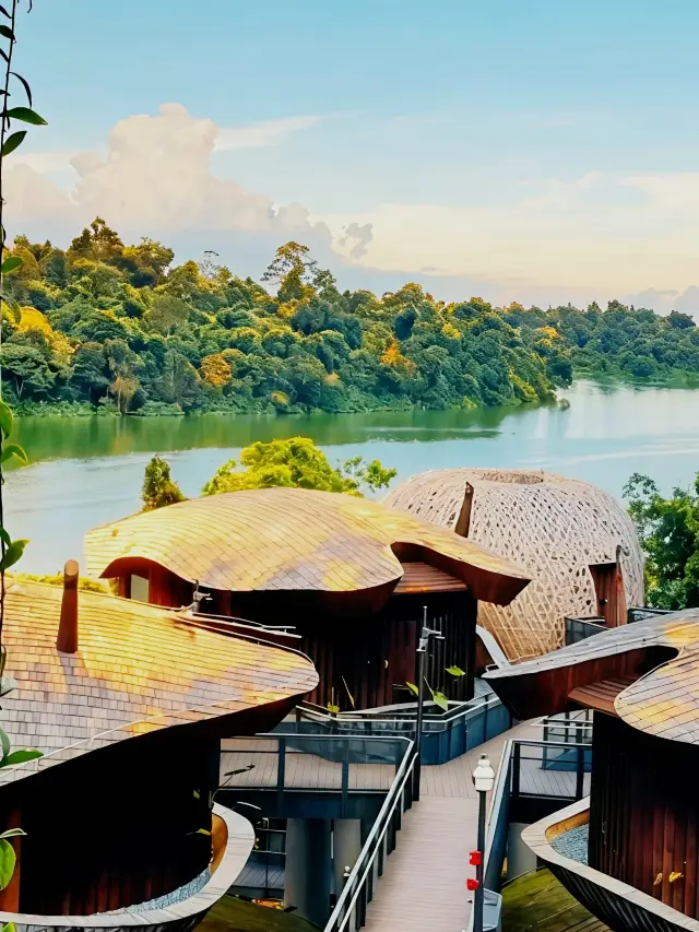 Stay at Singapore Rainforest Resort|Get a Healing Vacation!