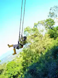 當一天“野孩子”｜鑽進了熱帶雨林