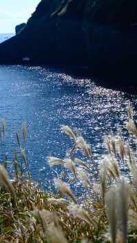 濟州島4天3晚無腦跟團玩