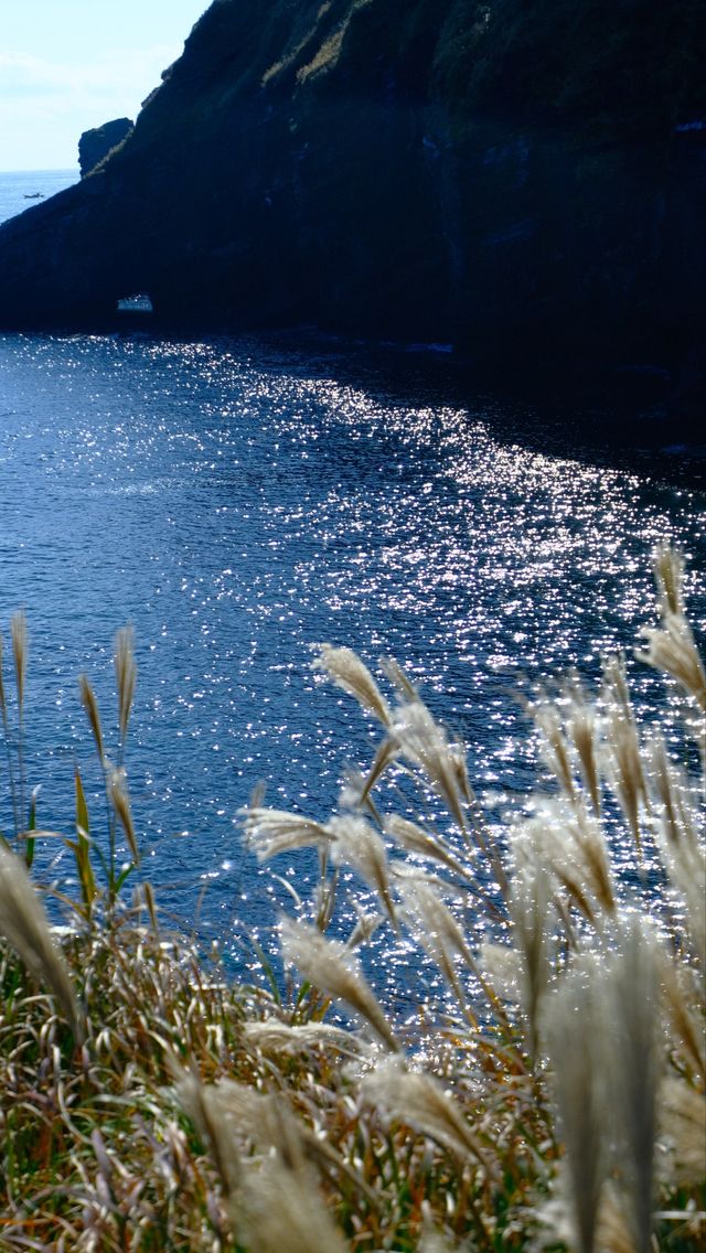 濟州島4天3晚無腦跟團玩