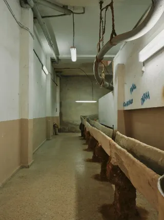 Irrigation Channel Above the Orchard｜Exhibition Review