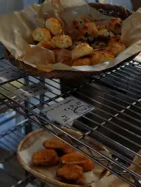 常滑市｜日本最大的「招財貓」產地