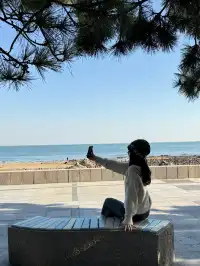 漫步青島|分享超美的一日sea walk路線