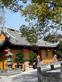 上海新晉城市地標巡禮