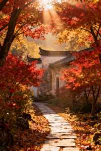 【篁嶺賞秋正當時】抓住最後一抹絢爛，邂逅限定版秋日畫卷