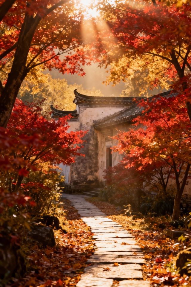 【篁嶺賞秋正當時】抓住最後一抹絢爛，邂逅限定版秋日畫卷