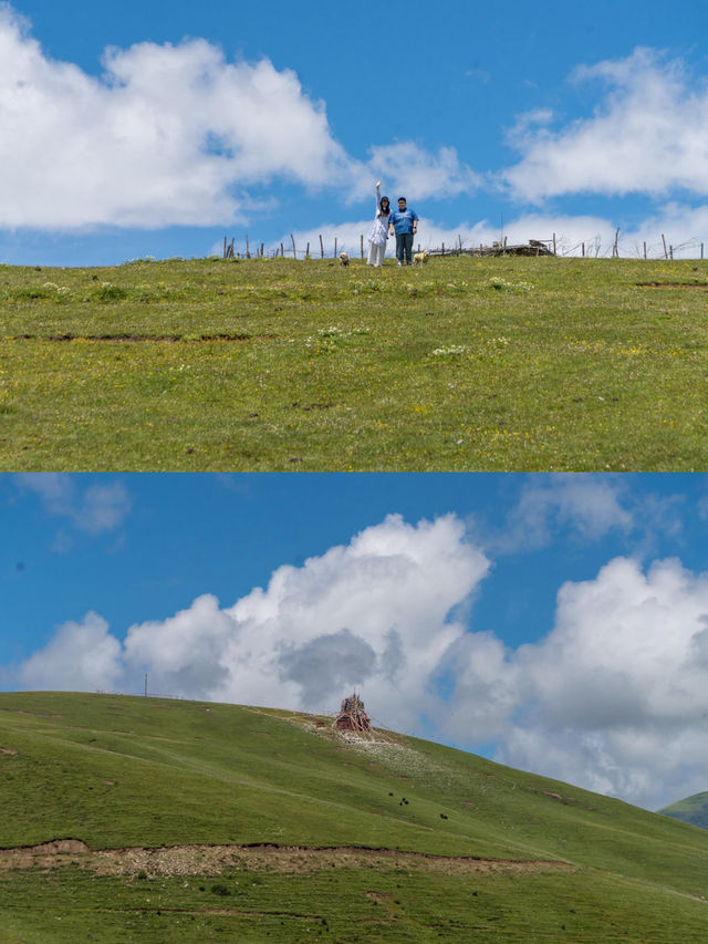 當我在雨季的窗口期來到川西秘境… 當我在雨季的窗口期來到川西秘境…