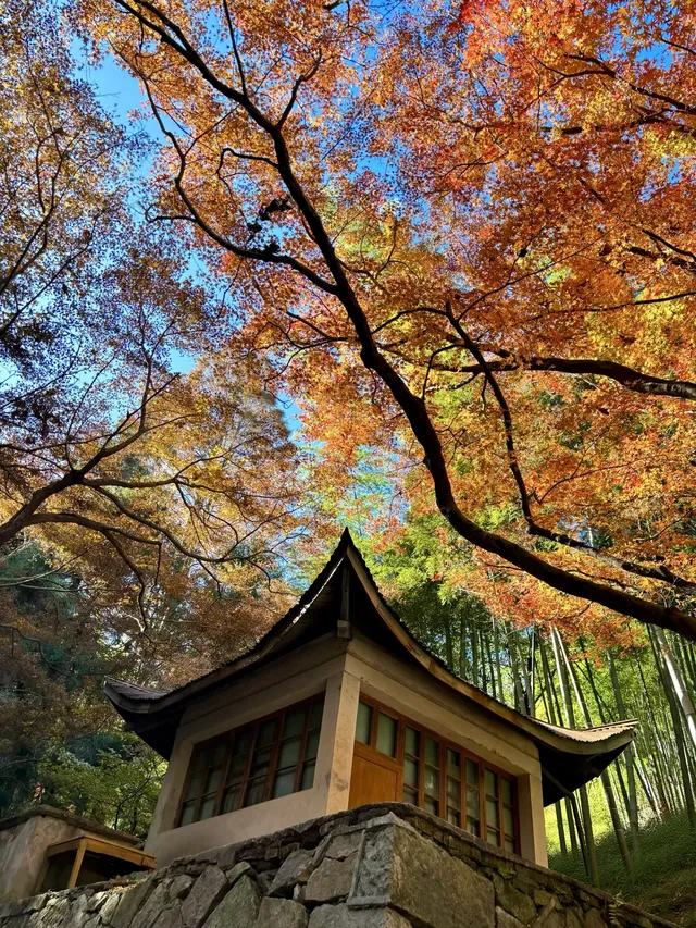 莫干山紅色氛圍已拉滿，趕緊衝！！