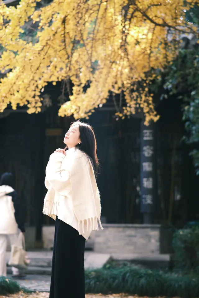 不要錯過揚州看銀杏的時節 不要錯過揚州看銀杏的時節