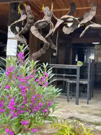 昆明大學生週末特種兵：景邁山24h住進傣家古