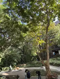 香港堅尼地城旁寶藏!西環泳棚日落封神