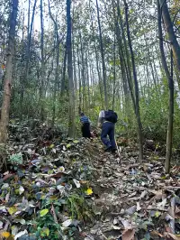 成都霧霾天的救命徒步!蒲虹路6公里,拿捏!