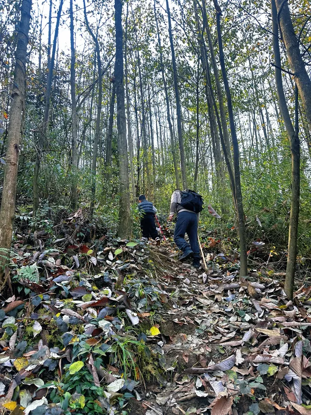 成都霧霾天的救命徒步!蒲虹路6公里,拿捏! 成都霧霾天的救命徒步!蒲虹路6公里,拿捏!