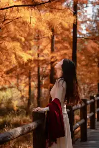 長興桃花岬的紅杉很美啊～～