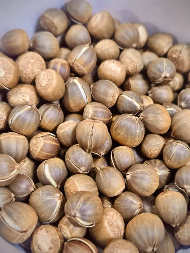 景邁山放空的48小時 景邁山放空的48小時