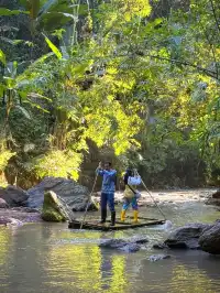 版納雨林徒步 ｜和世界失聯的四小時