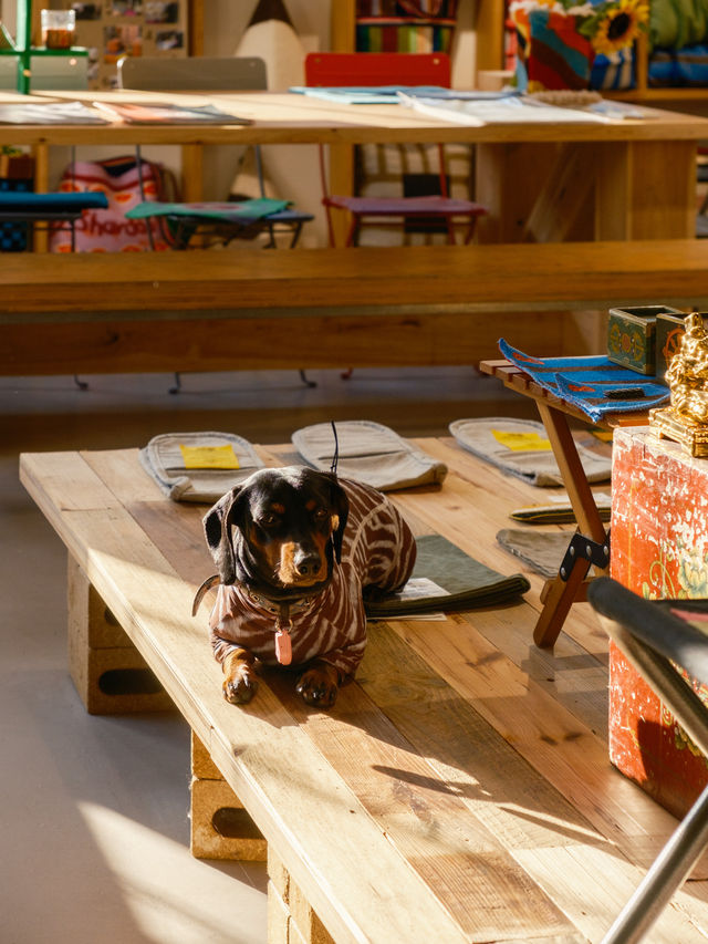 上海人的chill都藏在這個寶藏街區裡